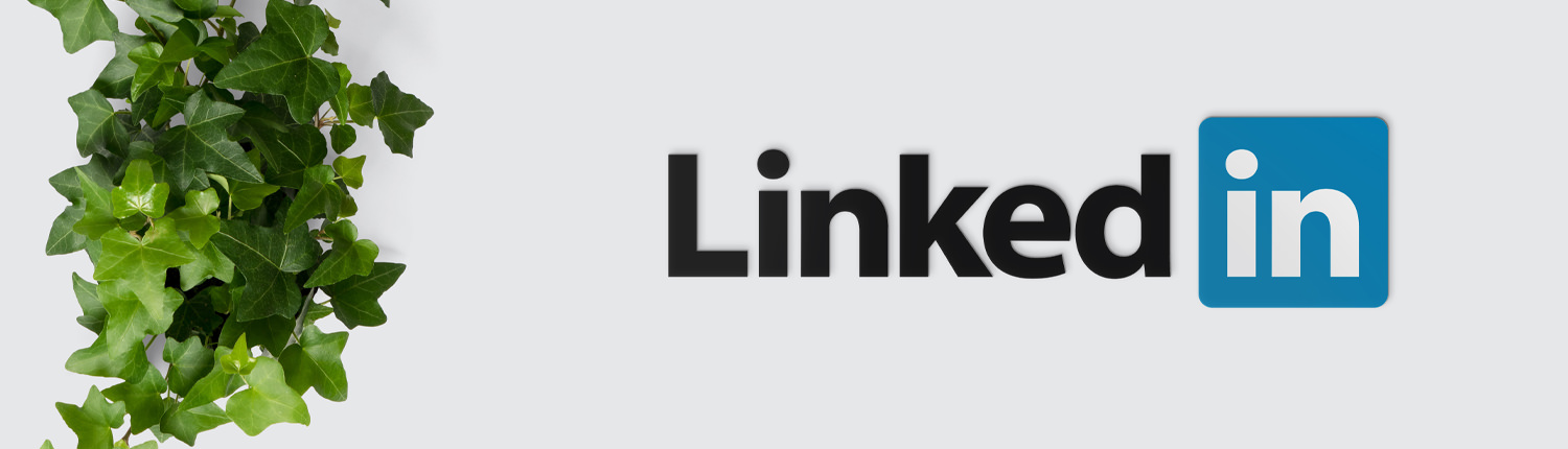 Five LinkedIn Insider Tips - Kris Lamey - Real Estate Writing Sample